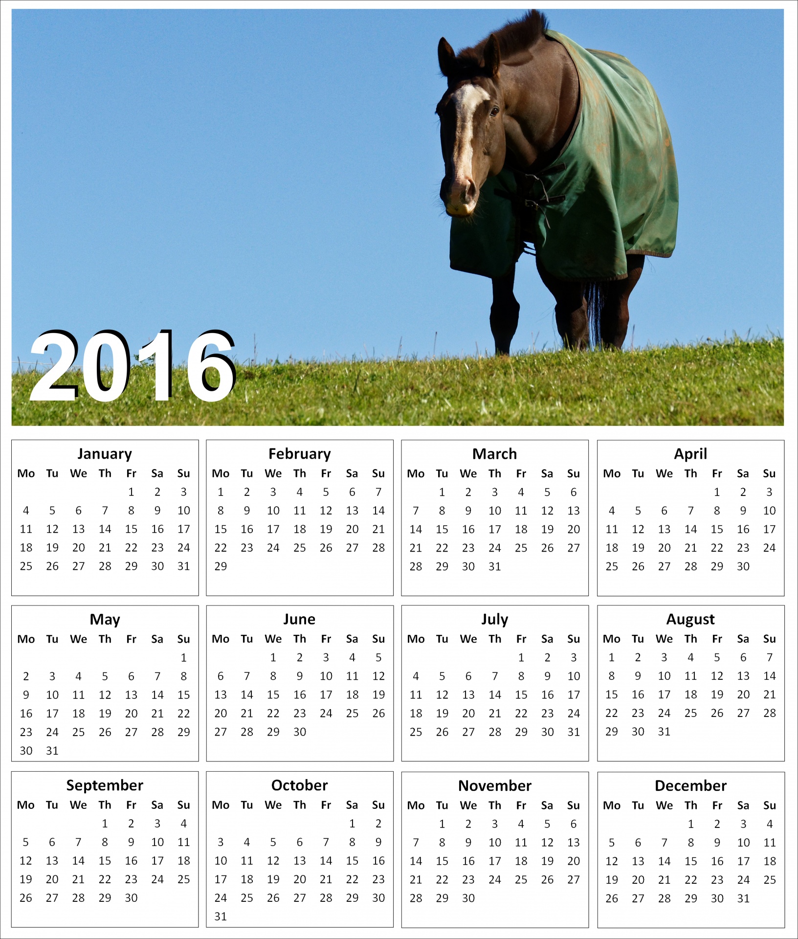 2016 Horse Calendar