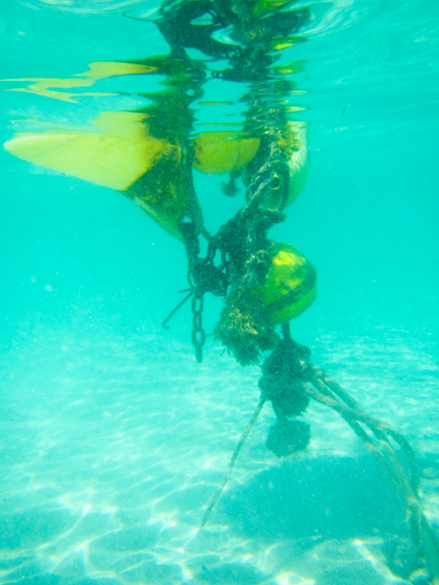Buoy Underwater