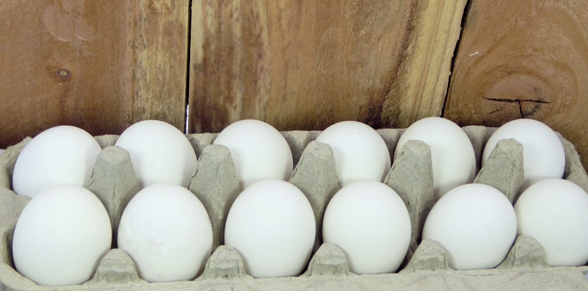 farm fresh dozen eggs with wooden fence in background