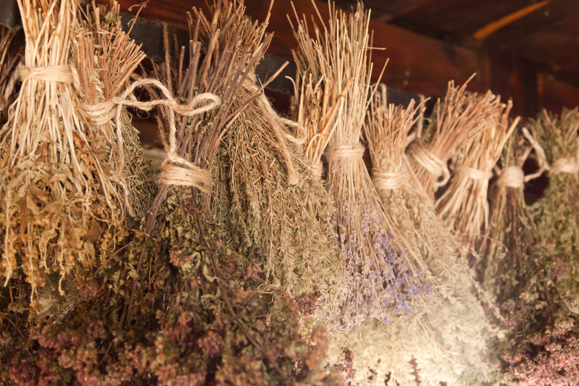 Dry Herbs Hanging