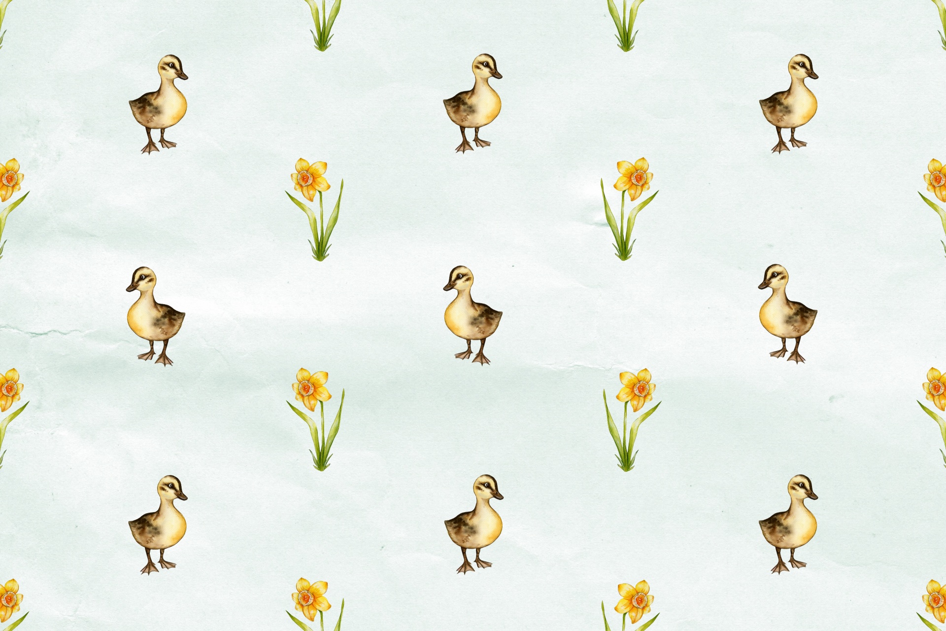 Ducks And Daffodils