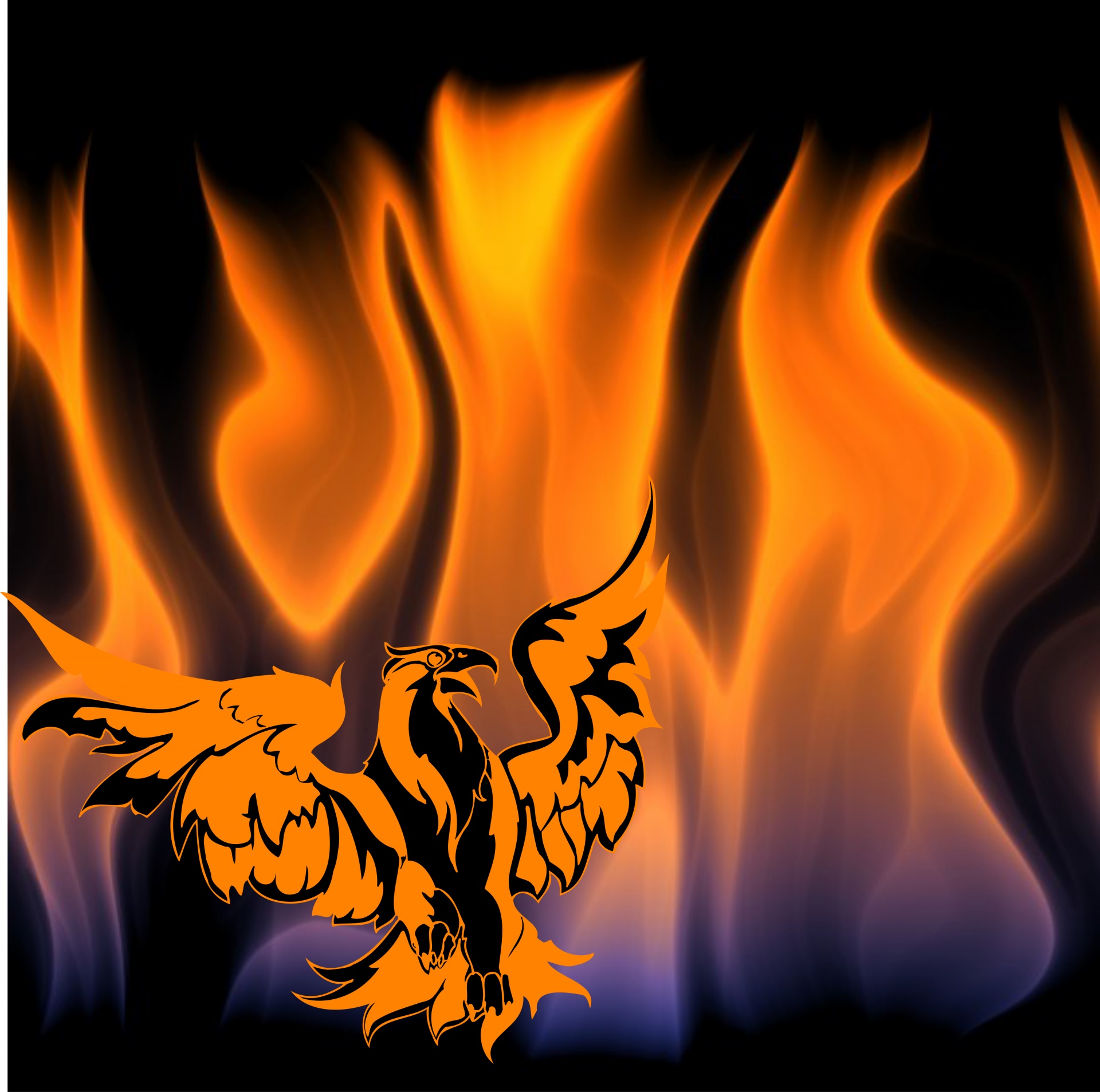Eagle In Flames