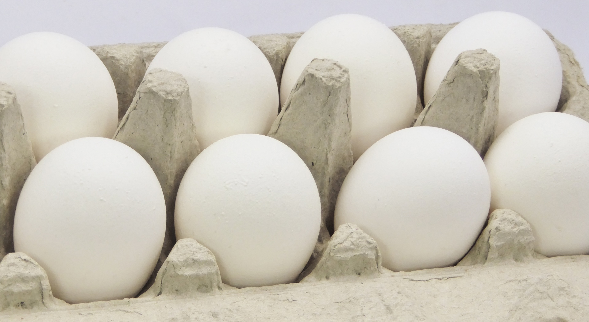 close-up of eggs in carton