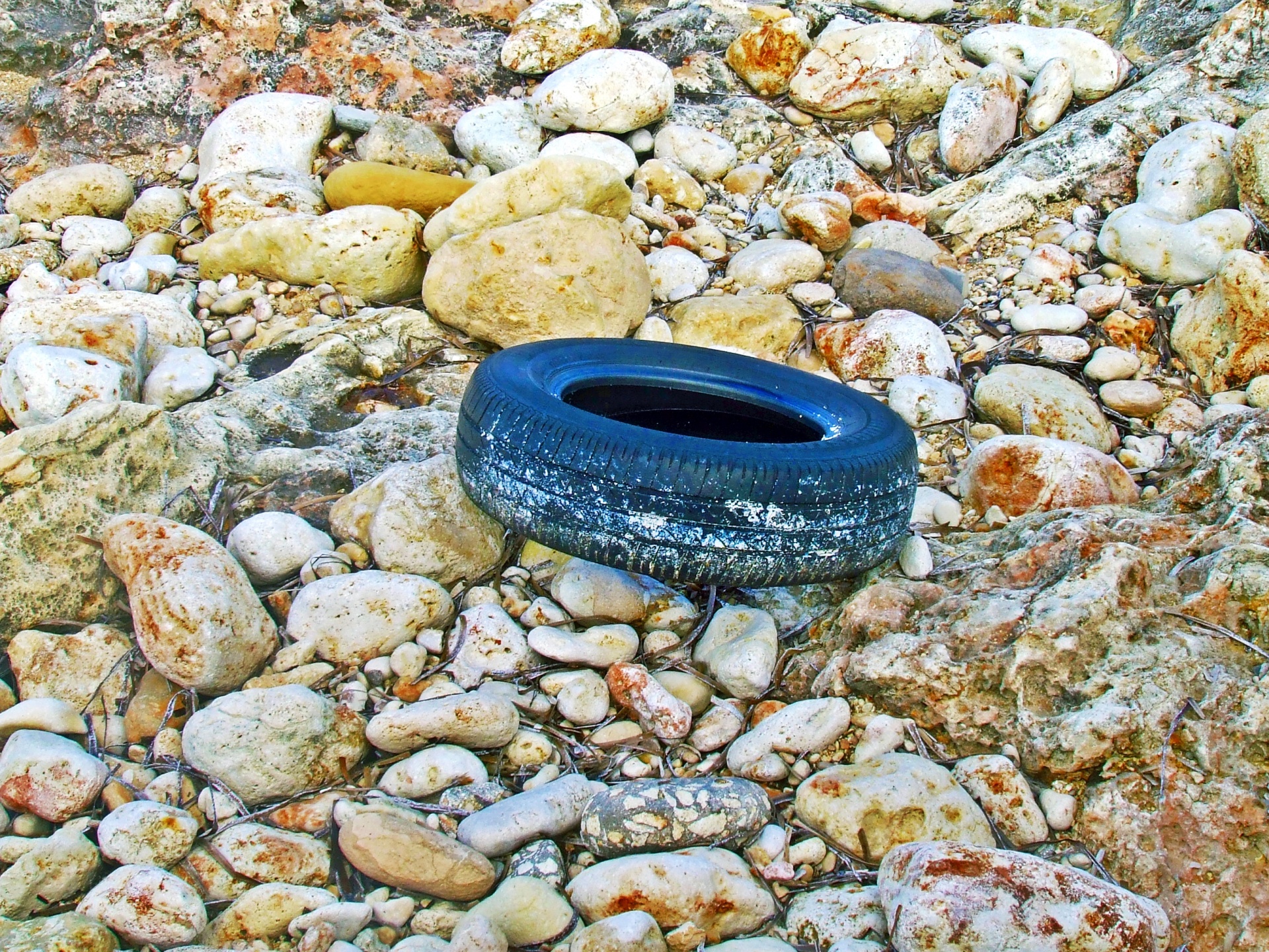 Old thrown away tyre on the rocks