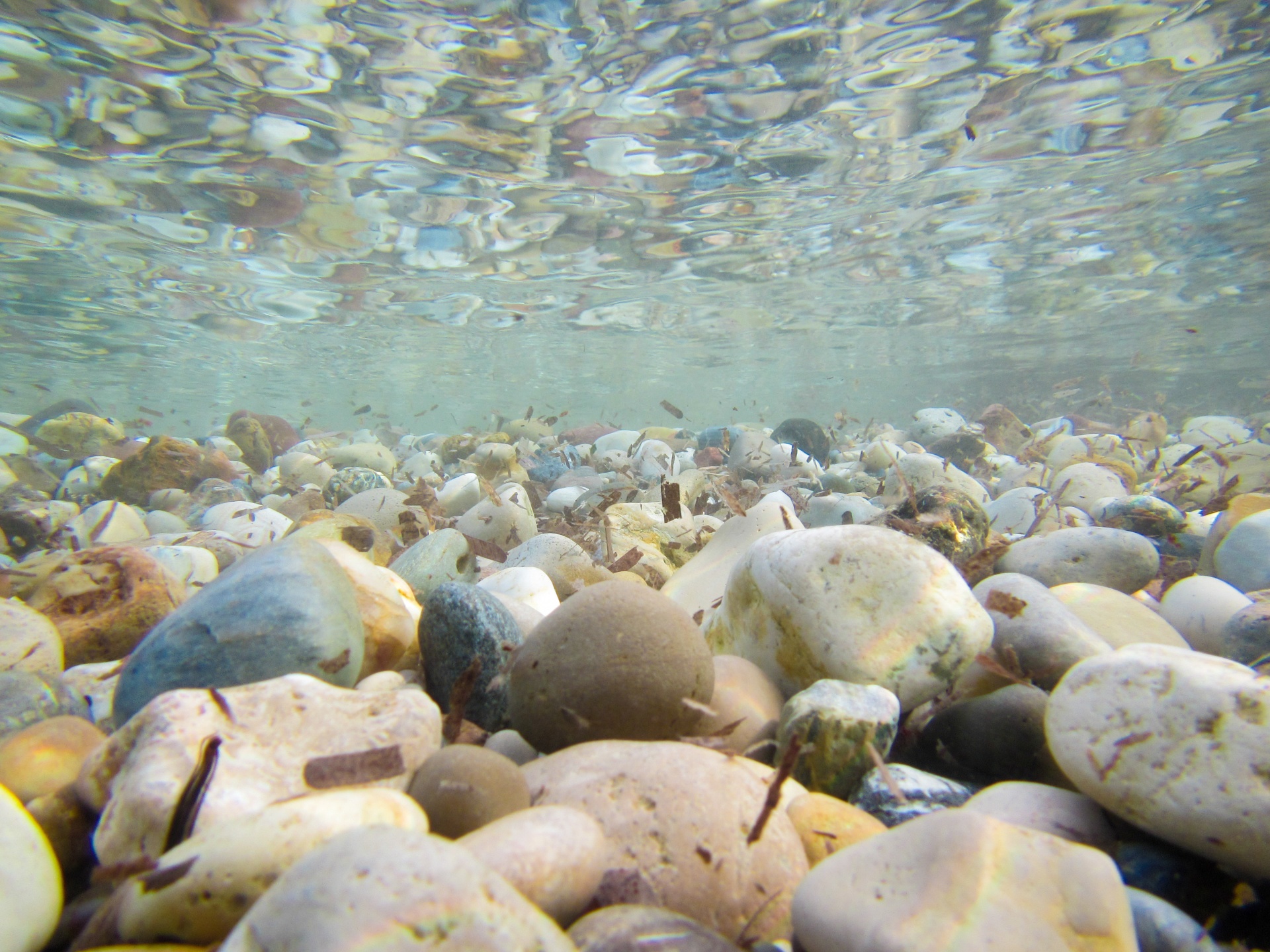 Pebbles Underwater