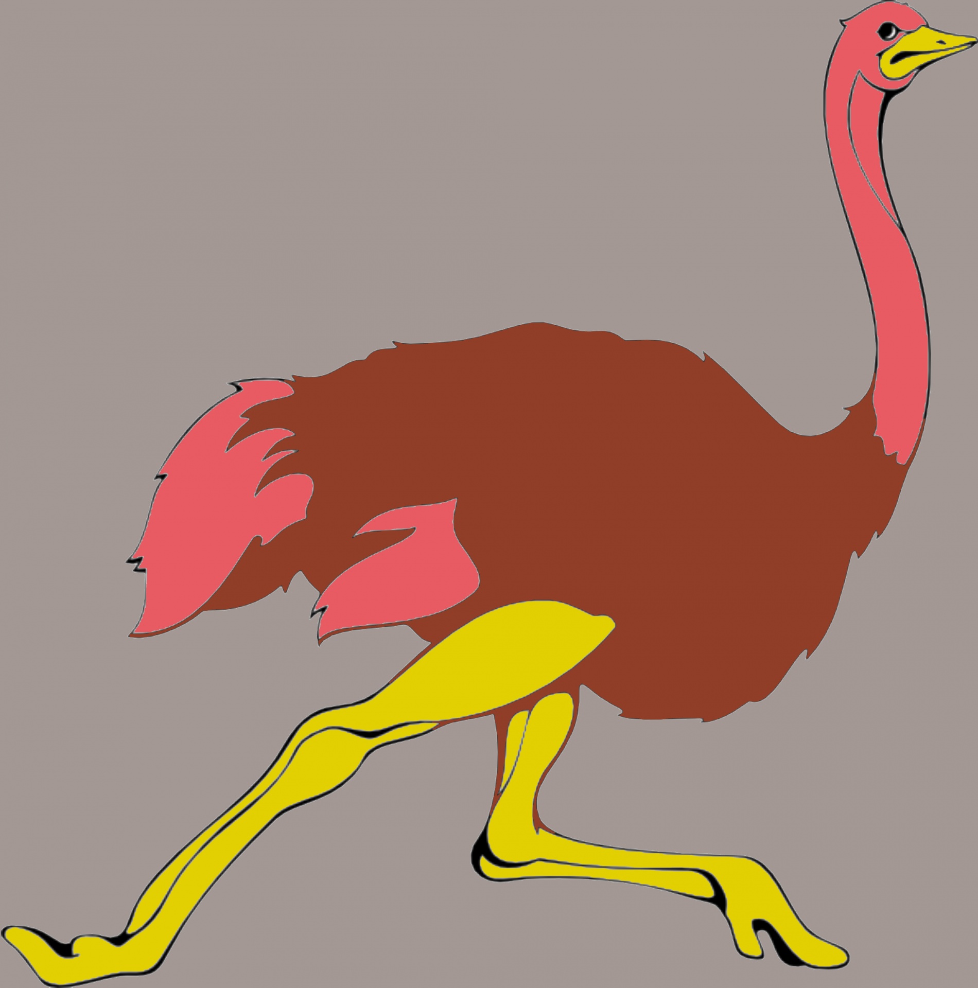 drawing of a running ostrich in color on grey background