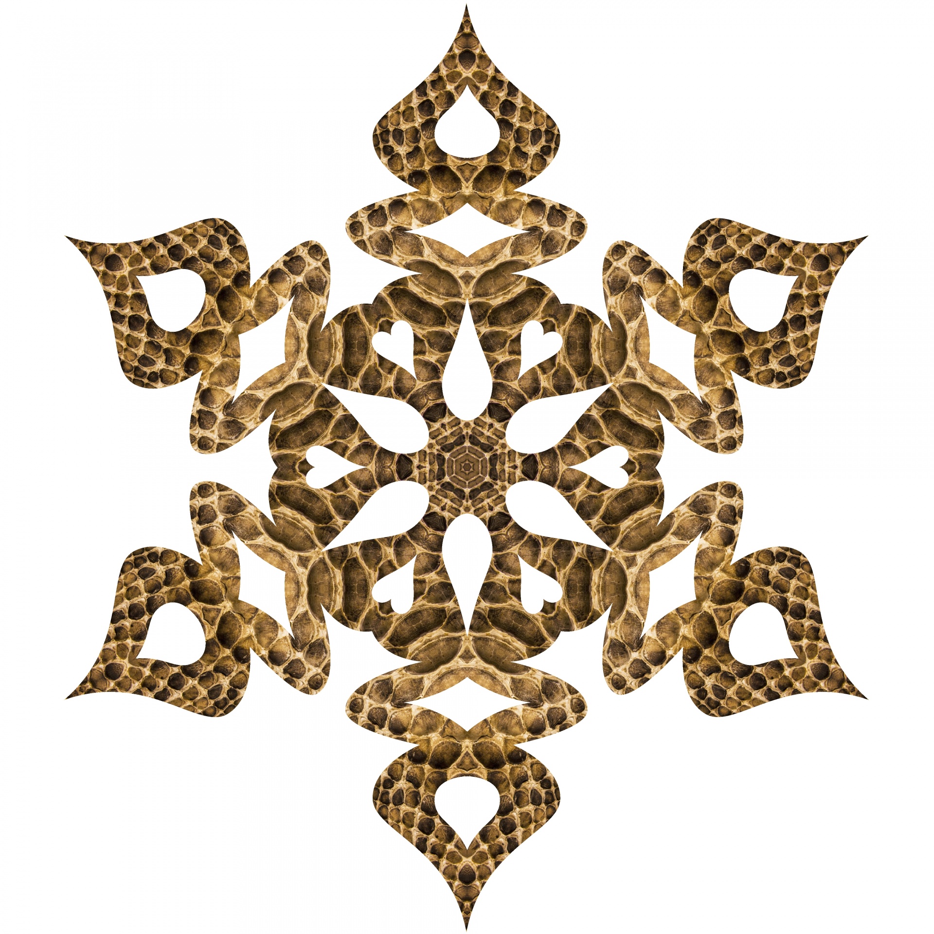 snake skin texture pattern snowflake on white