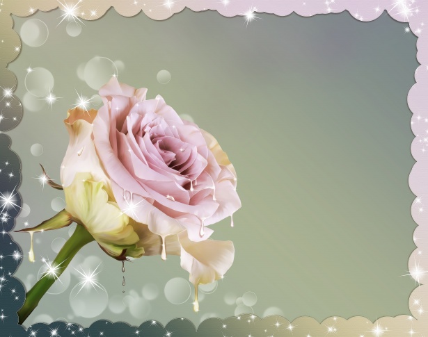 Scheda con una bella rosa Immagine gratis - Public Domain Pictures