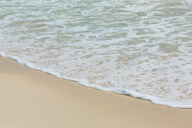 Tengeri szivacs, fehér strand Szabad kép - Public Domain Pictures