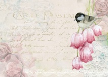 Background Scrapbook Pink Tulips