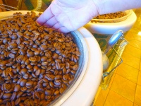 Barrel Of Coffee Beans