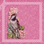 Bird, Flowers Vintage Background