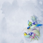 Birds Colorful Wallpaper