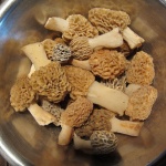 Bowl Containing Morel Mushrooms.