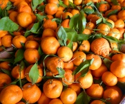 Boxes Of Tangerines