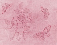 Butterflies, Rose Wallpaper