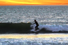 California Surfer Horizon At Sunset