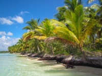 Caribbean Shore