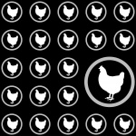 Chicken Wallpaper Background
