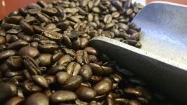 Coffee Beans With Scoop