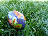 Decorated Egg In Grass