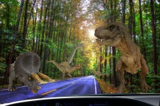 Dinosaur Road
