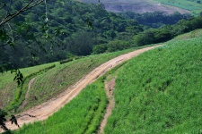 Dirt Trails On Sugar Cane Estate