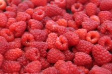 Farmers Market Red Raspberries