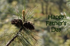 Father's Day Pine Cones