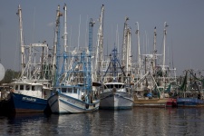 Fishing Boats In Port