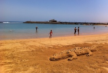 Fuerteventura Beach Holiday