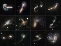 Galaxies Gone Wild
