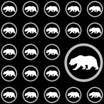 Grizzly Bear Wallpaper Pattern
