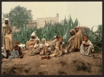 Group Of Arab Algiers Algeria