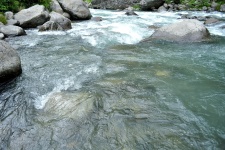 Himalayan Creek 15