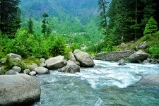 Himalayan Creek 9