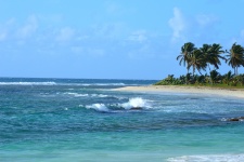 Island Paradise, Beach, Palm Trees