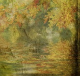 Leaves, Water Background Texture