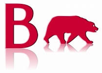 Letter B Bear