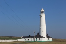 Lighthouse In Spring
