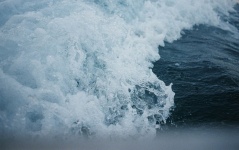 Raging Ocean Waves