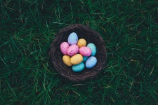 Easter Eggs And Nest