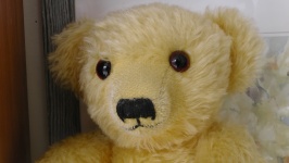 Old Vintage Teddy Bear