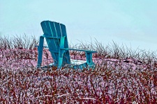 Painted Chair In The Grass