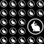Rabbit Wallpaper Background