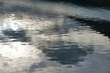 Reflections On Water, Bright Background