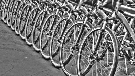 Row Of Bicycles