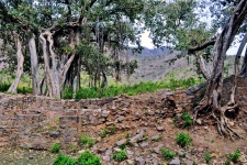 Ruins Of Fort City 06