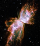 The Butterfly Of The Galaxies