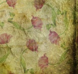 Tulips Grunge Texture Background